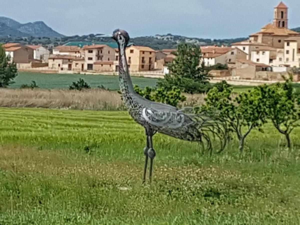 Casas Rurales La Laguna Y La Buhardilla De La Lagu Gallocanta Bagian luar foto