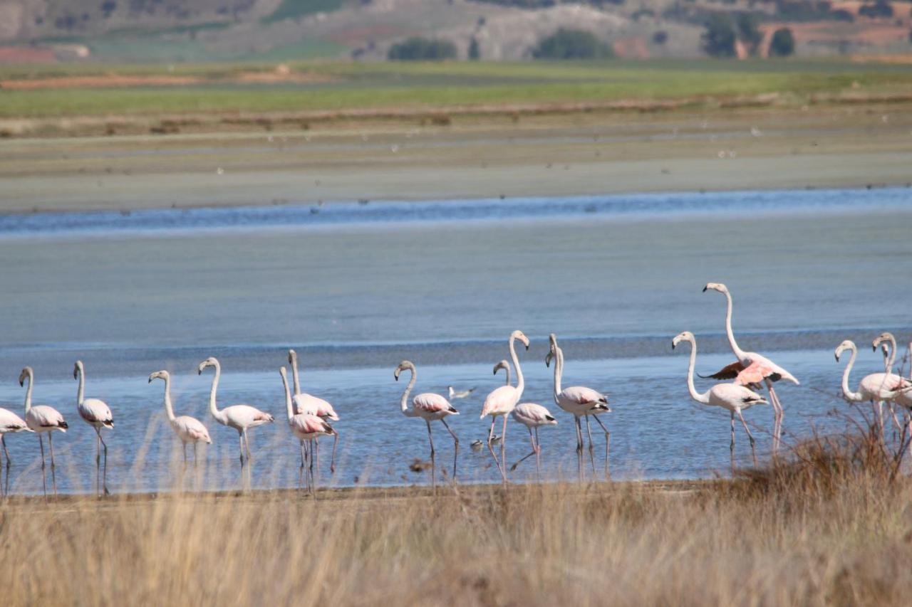 Casas Rurales La Laguna Y La Buhardilla De La Lagu Gallocanta Bagian luar foto